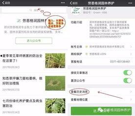 头条植物施肥技术规范,科学施肥，助力植物健康成长