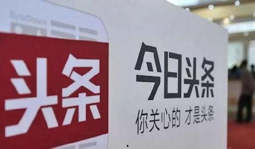 今日头条苏岑,揭秘今日头条背后的秘密与未来趋势