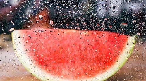 秋风冬雪吃瓜真棒,一场别开生面的冬日盛宴