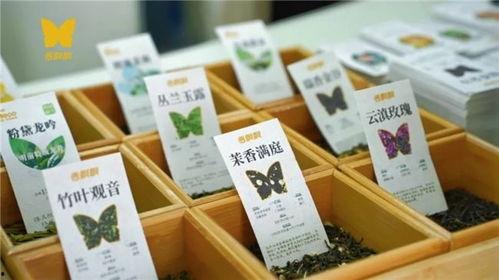 头条茶价格,品味茶香背后的价值与魅力”