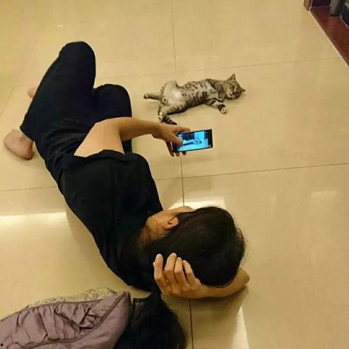 网红抖被子,抖出生活新风尚——网红抖被子现象解析