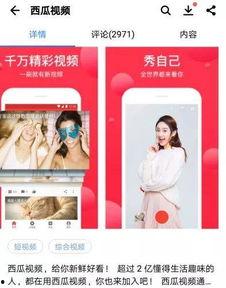 头条西瓜直播怎么做,头条平台上的直播新玩法揭秘