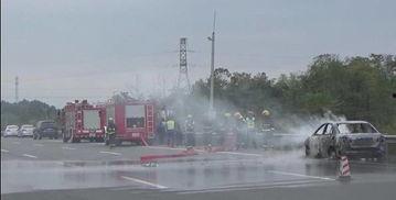 海边吃瓜群众围观,围观群众的夏日狂欢