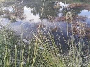靖远石门今日头条,探寻千年古堡的历史足迹与今日风采