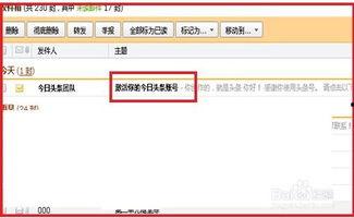 在头条怎么找作者号,轻松挖掘优质内容创作者