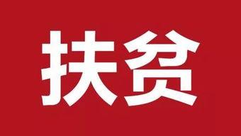 县头条,聚焦县域发展动态，展现地方风采