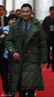 明星手毛,揭秘明星们的独特魅力与时尚态度