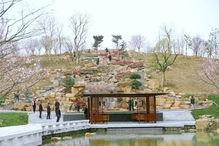 大埔网红公园有哪些,探寻这座城市的绿色秘境