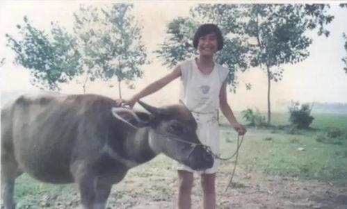 贵州小伙吃瓜放牛图片,小伙吃瓜放牛，悠然自得的生活画卷